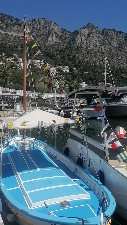 MOLE - BATEAUX DECORES