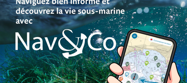 Visuel_Nav&Co_Insta_2024_Med(1)