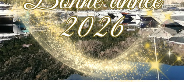 Bonne année 2026 (4)