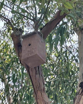 Nichoir à oiseaux
