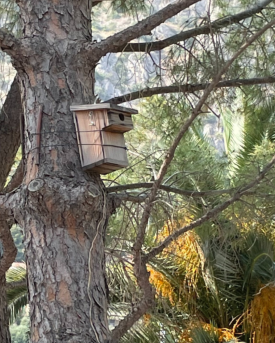 Nichoir à oiseaux