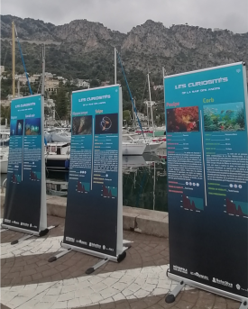 Puces de la Mer - Brocante nautique  (11.04.2026)
