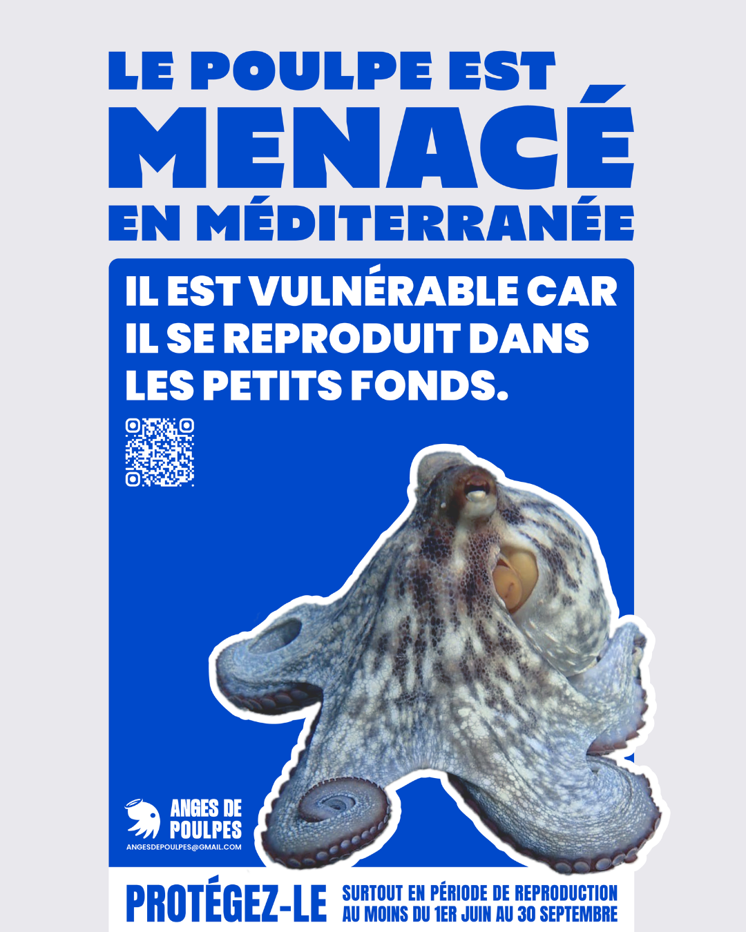 Affiche Anges de poulpes - RS
