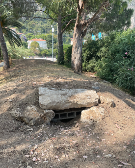 Hibernaculum