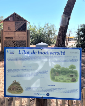 Ilot de biodiversité