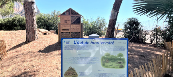 Hibernaculum et hôtel à insectes - Ilôt biodiversité